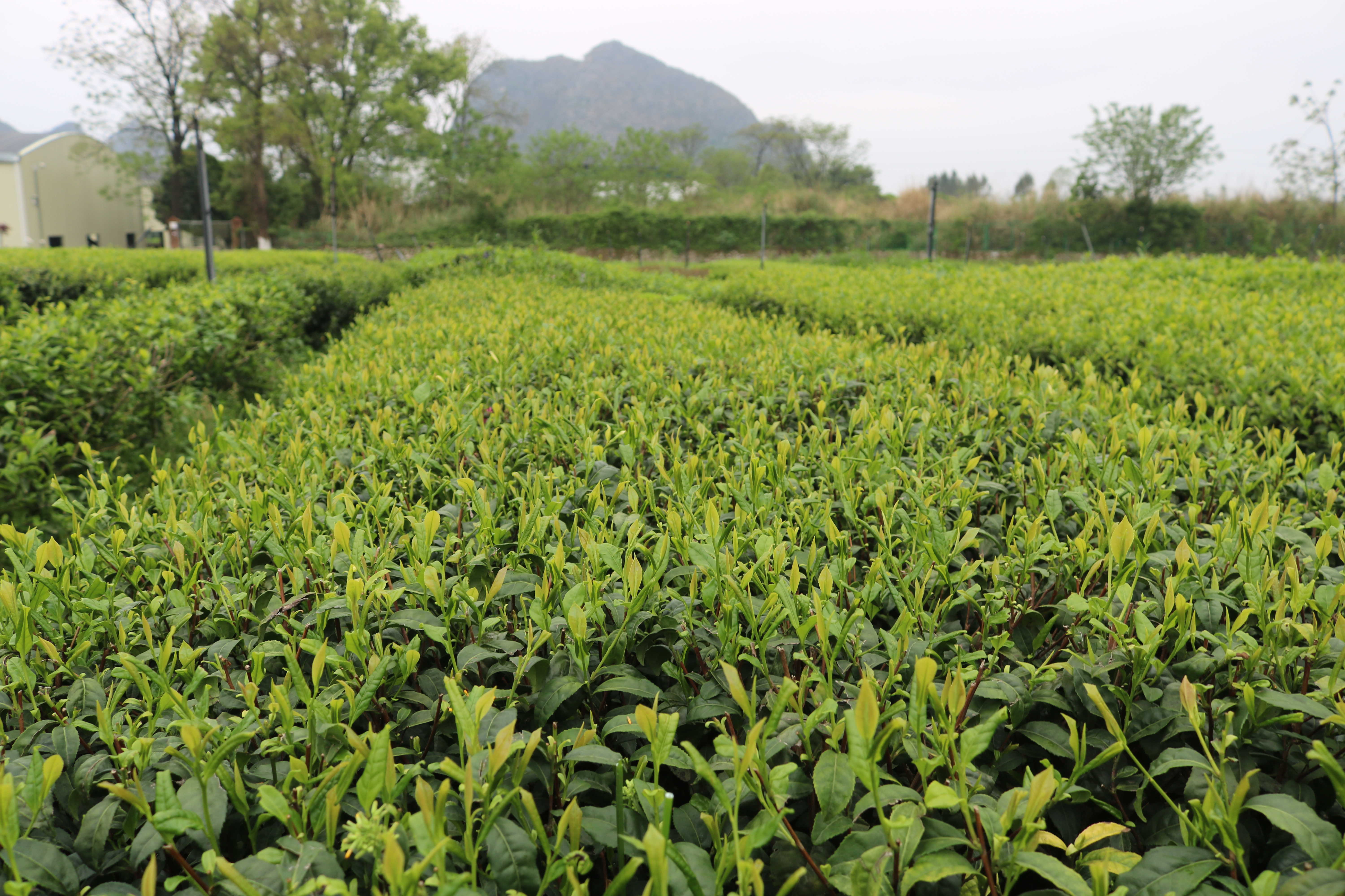 微信图片_20240904090029.jpg 大发体育