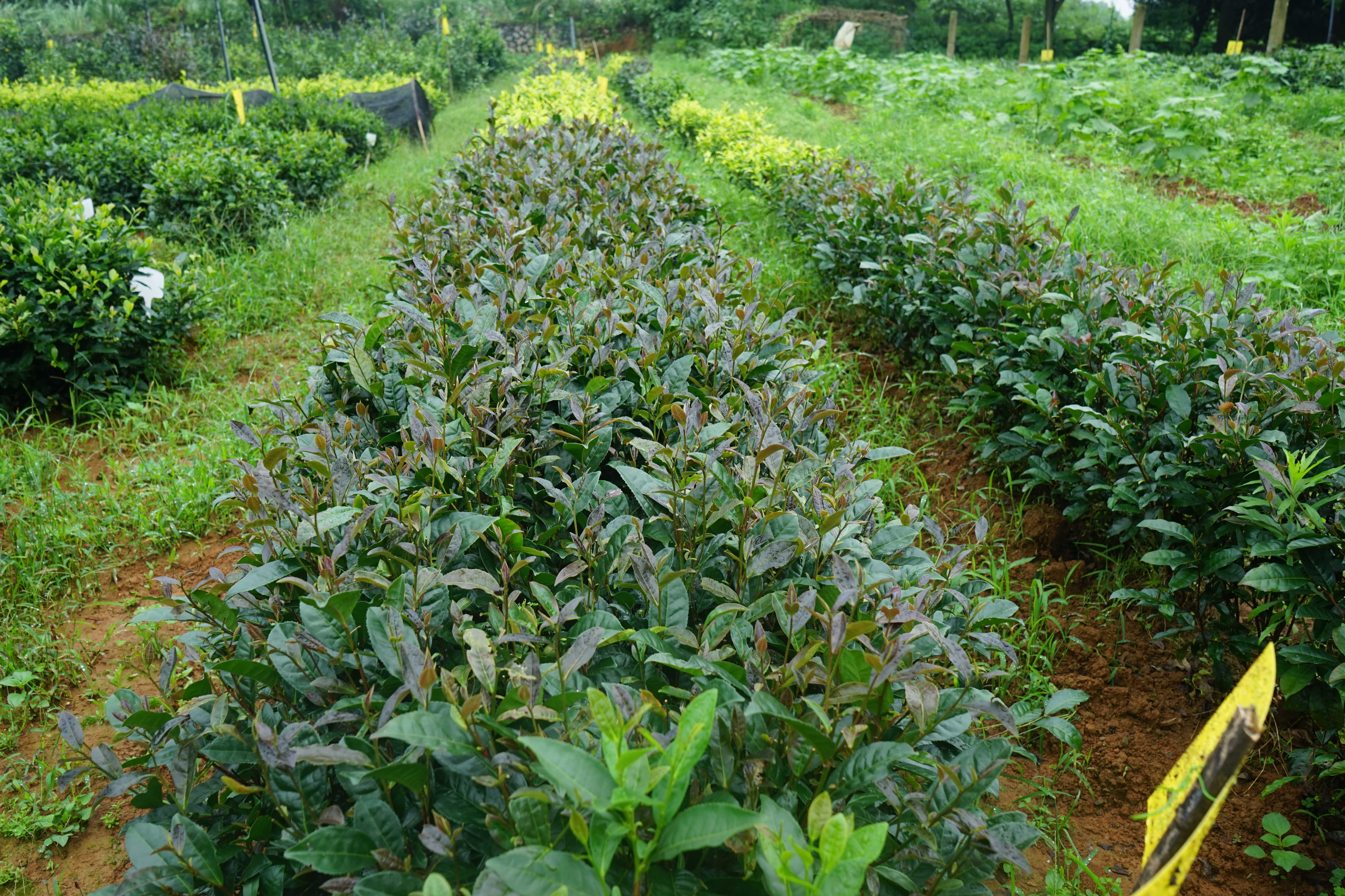 微信图片_20240904090147.jpg 大发体育