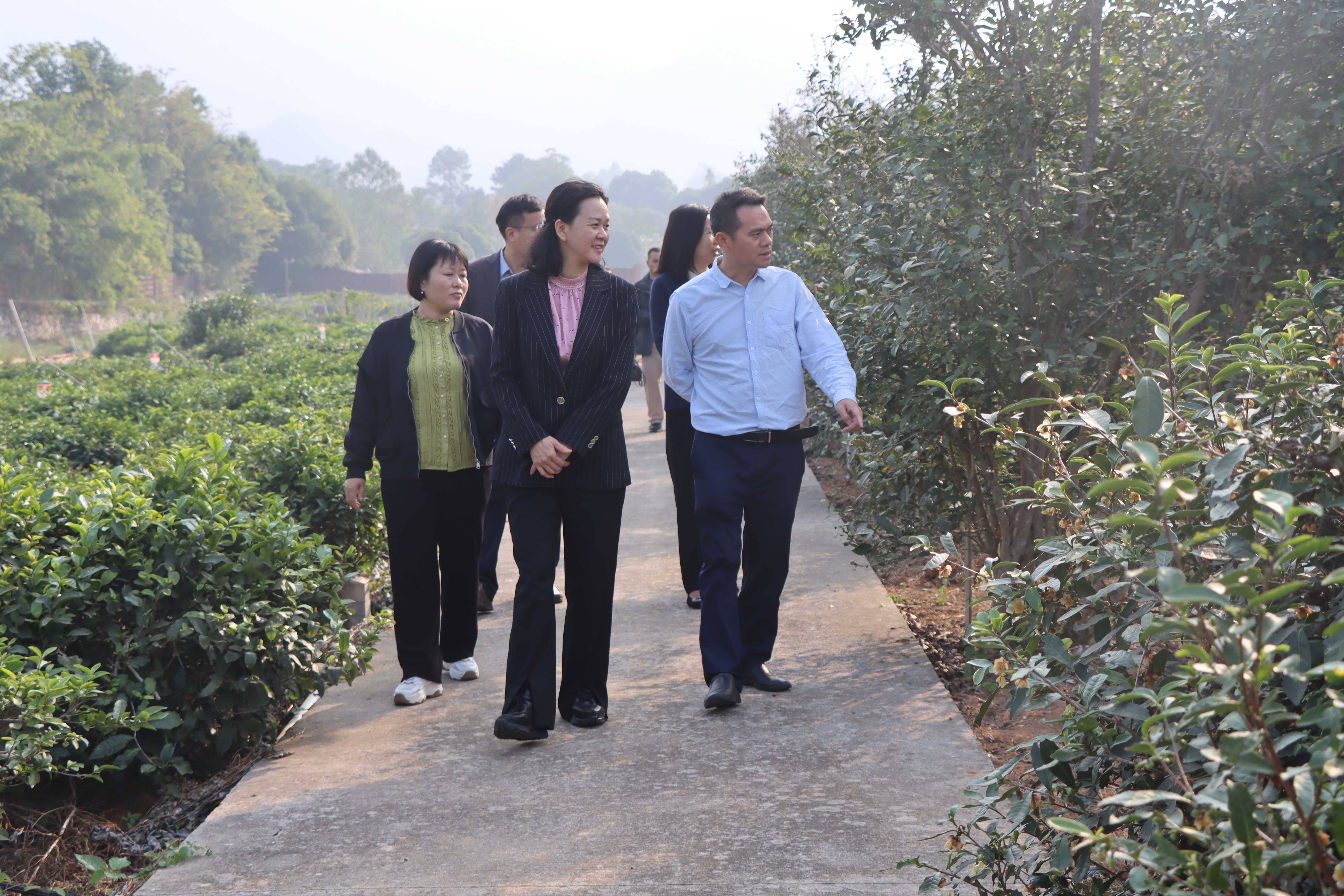 微信图片_20241108172902.jpg 大发体育