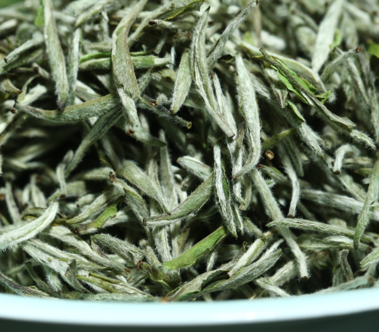 微信图片_20240304105036.png 大发体育