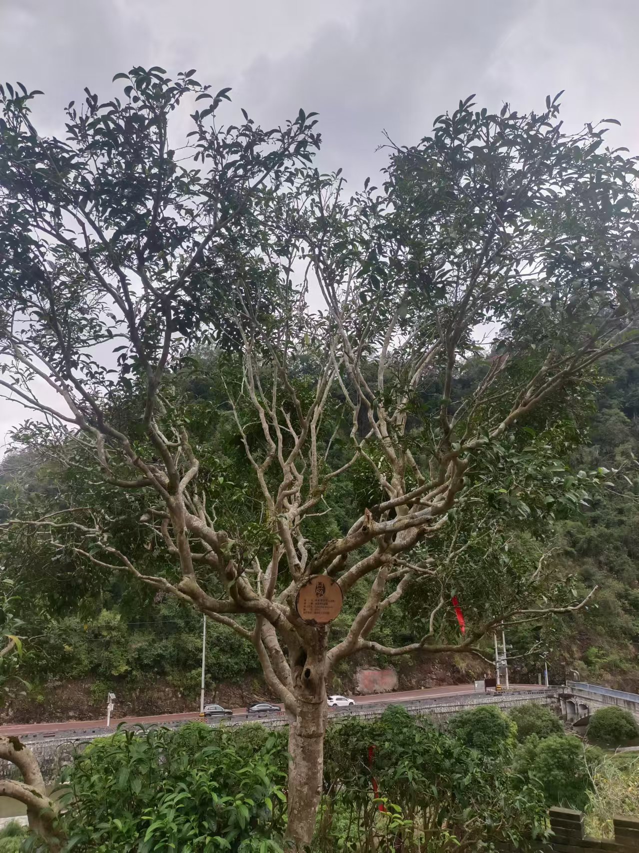 微信图片_20241029100220.jpg 大发体育