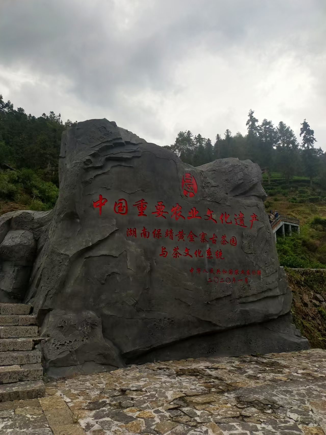 微信图片_20241029100149.jpg 大发体育