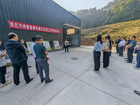 大发体育
