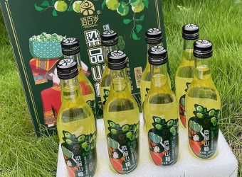 “道百岁”牌大果山楂醋饮料