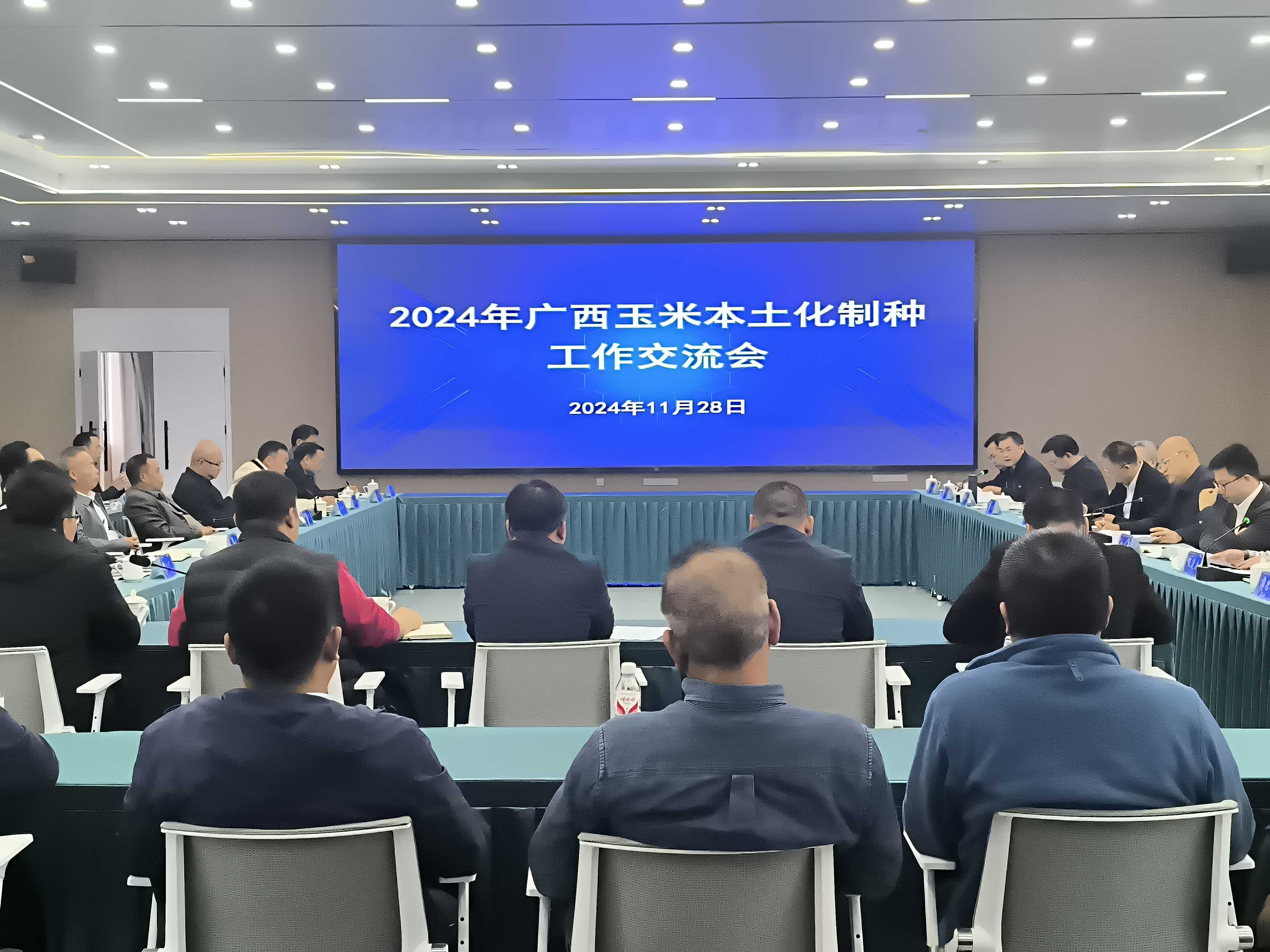 大发体育