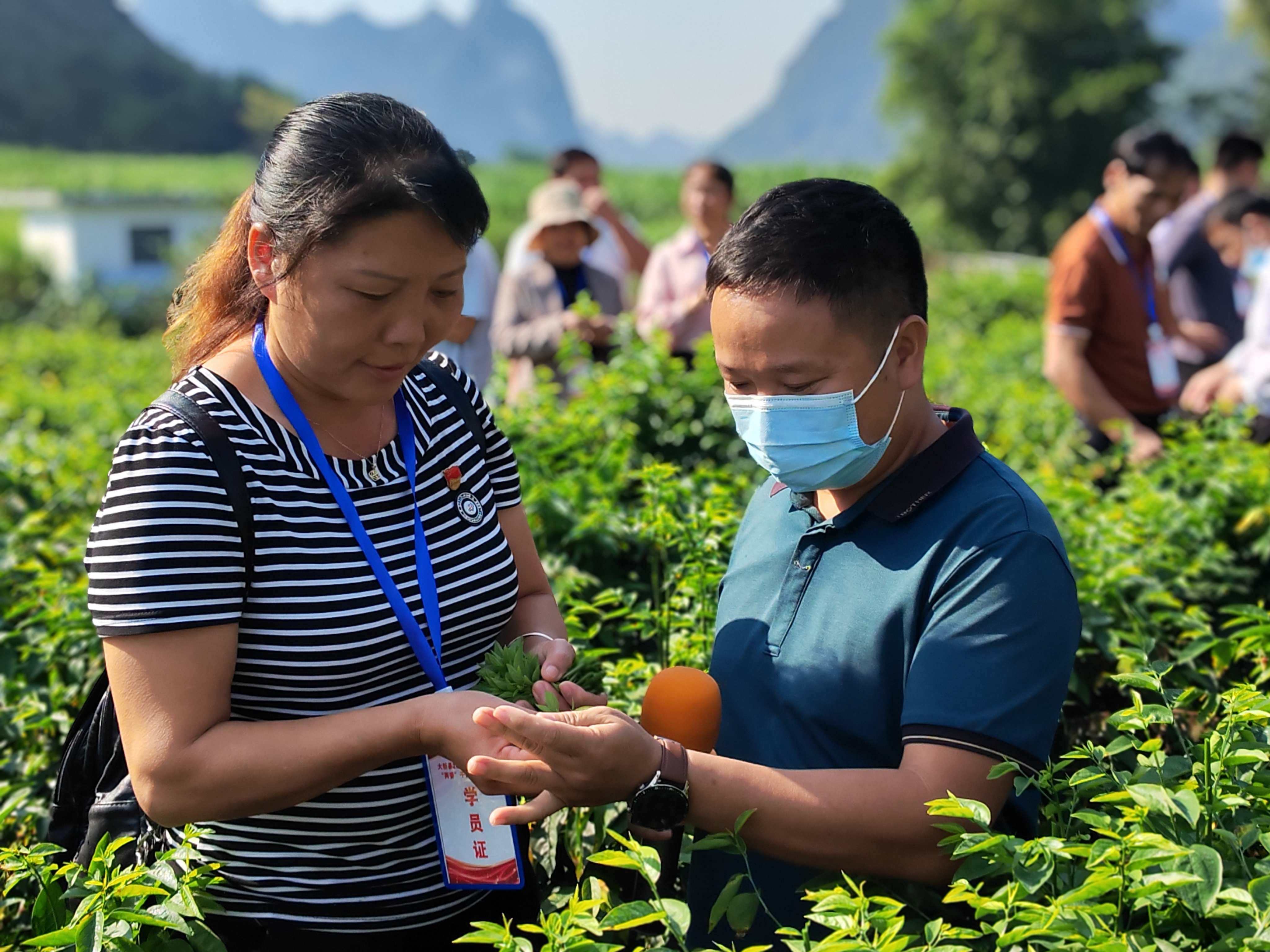 甜菜基地负责人庞文峰在为参观的学员讲解甜菜种植技巧.jpg 大发体育