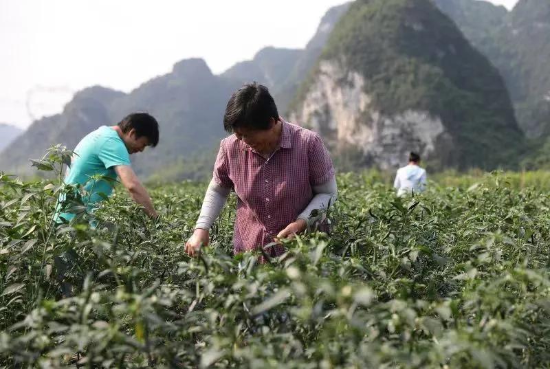 微信图片_20241225085240.jpg 大发体育