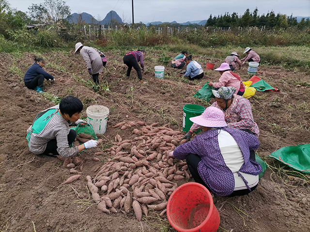 微信图片_20241226101054.jpg 大发体育