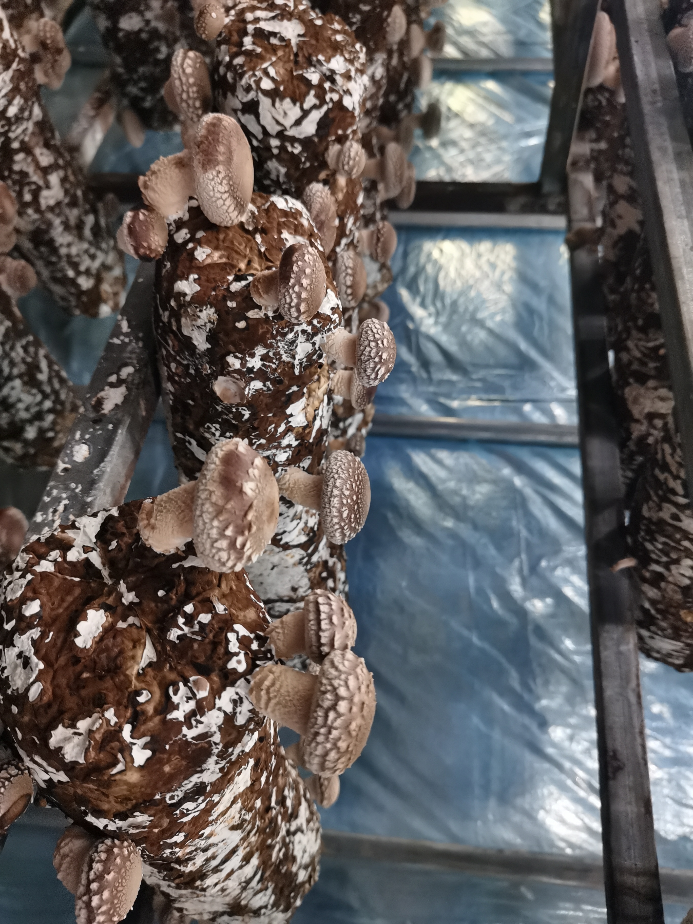 683afc1dd1bea82de0448813fa870cb.jpg 大发体育