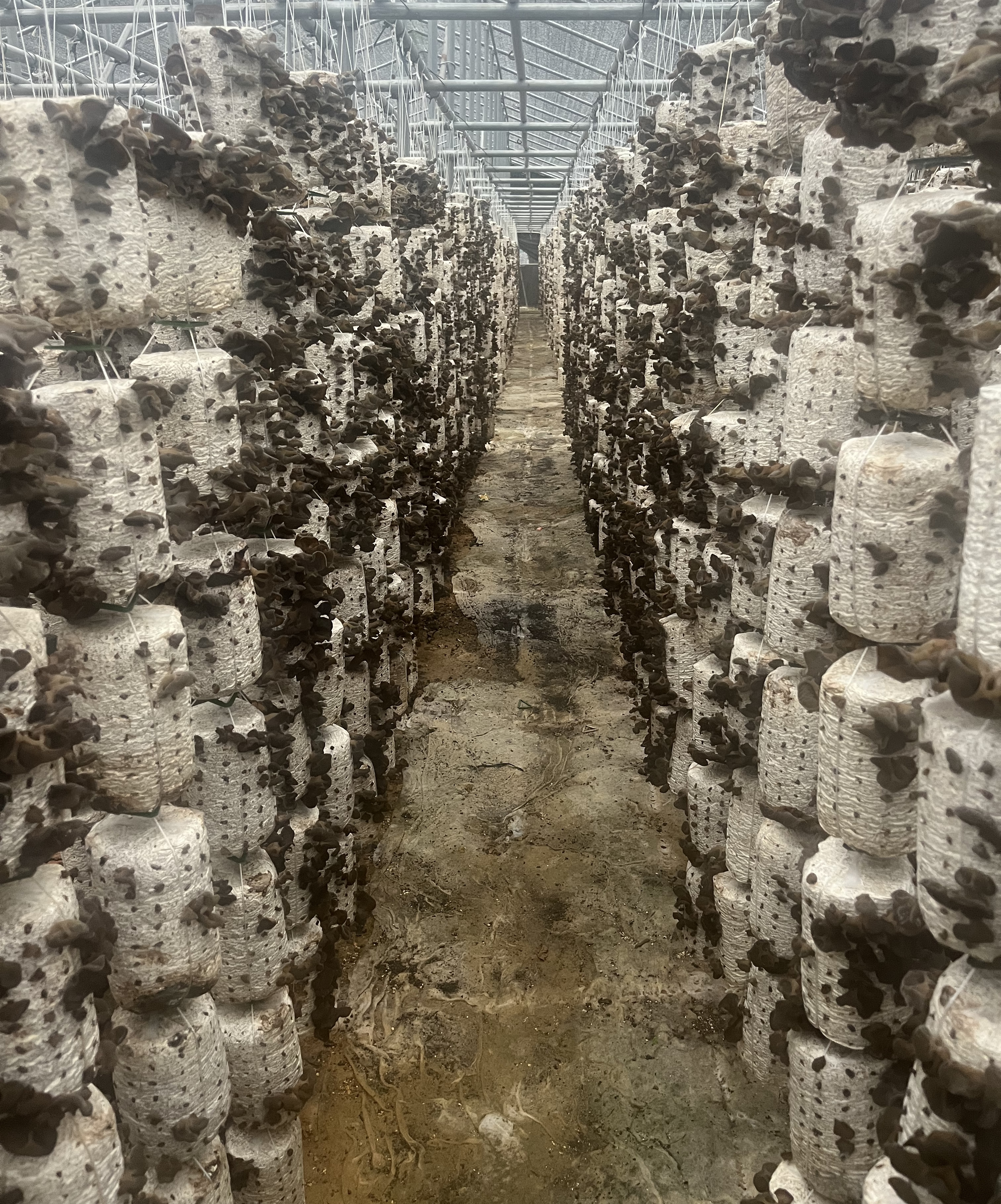 dd5577a2691a893d7c644b77710f89f.jpg 大发体育