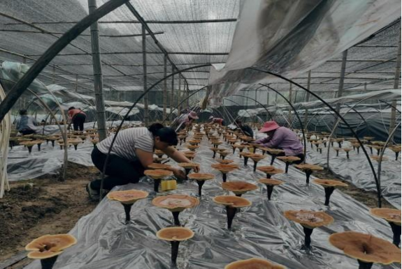 微信图片_20241223111237.png 大发体育