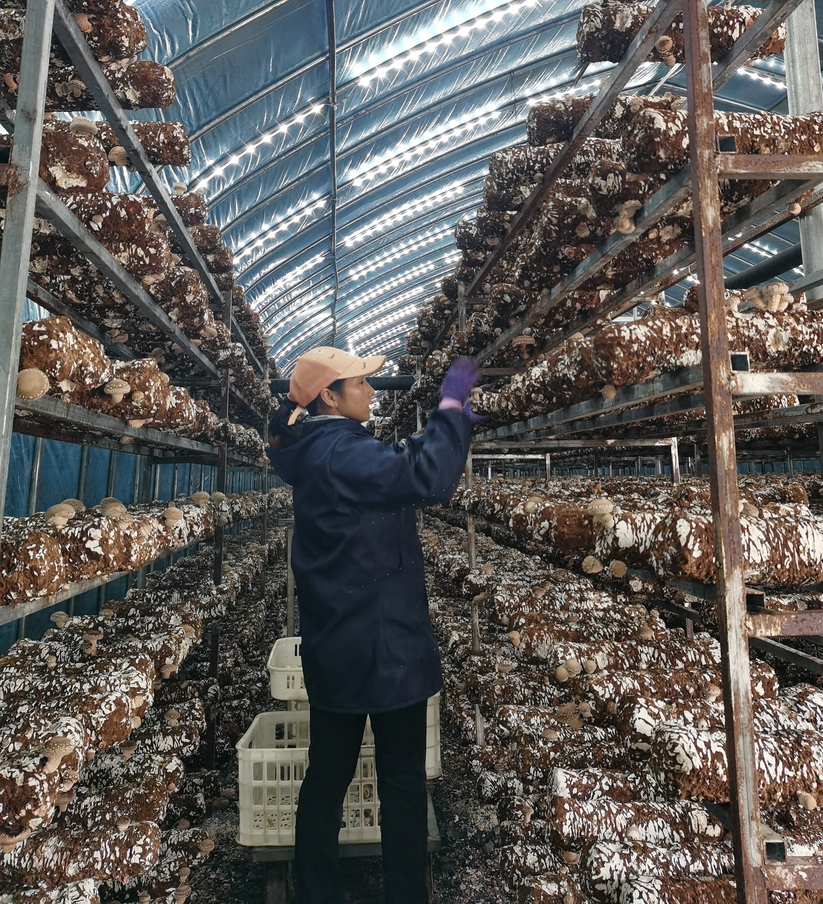 197940052f88792c39852db381d43bb.jpg 大发体育