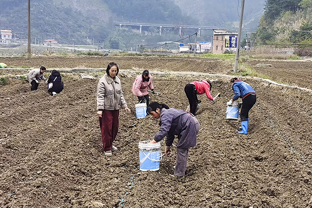 35e698079469bca11a088f89b34962e-1.jpg 大发体育