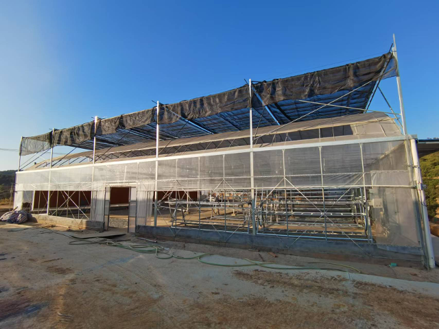 图片2副本.png 大发体育