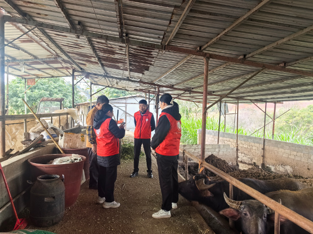 科技下乡服务,推广微型牛场养殖技术-图片副本.jpg 大发体育