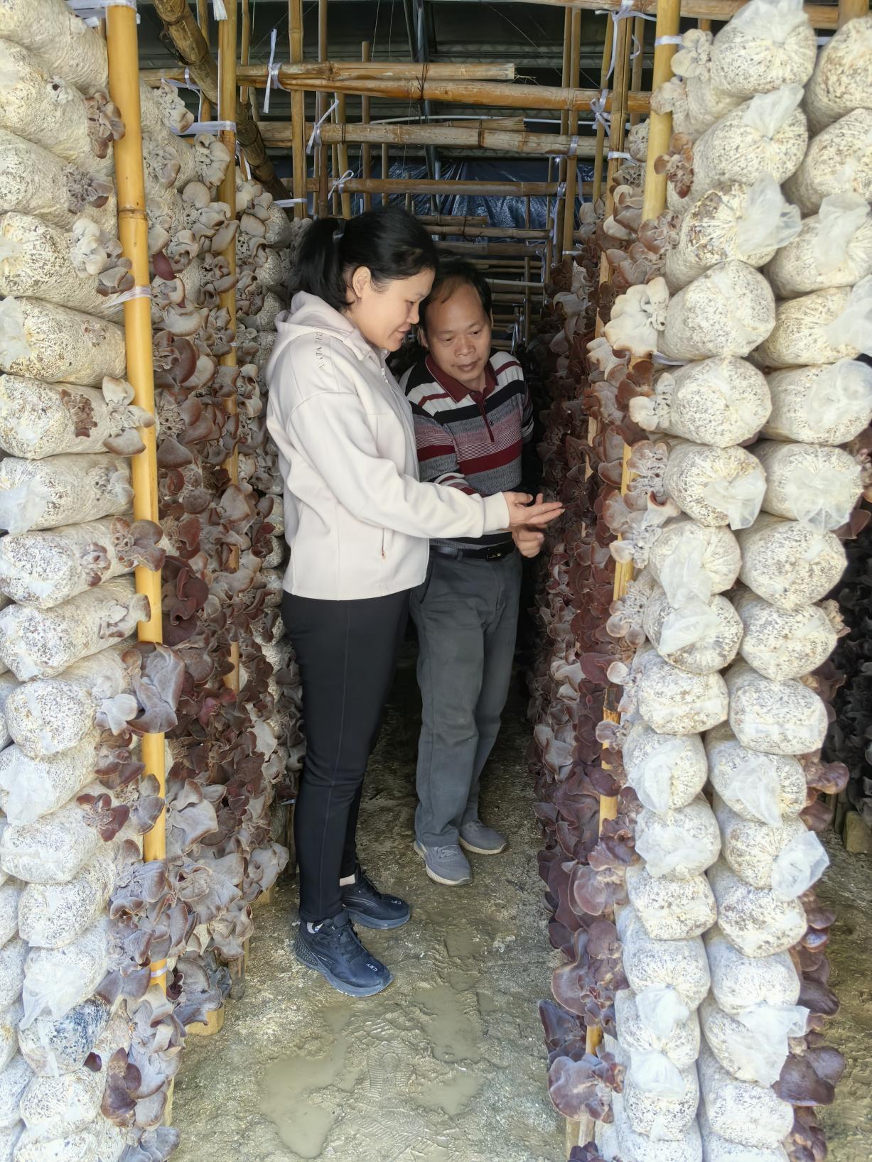 image001.jpg 大发体育