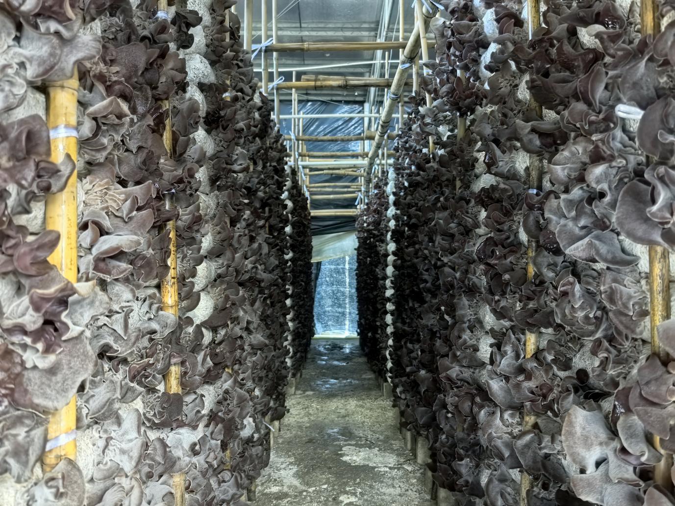 image003.jpg 大发体育