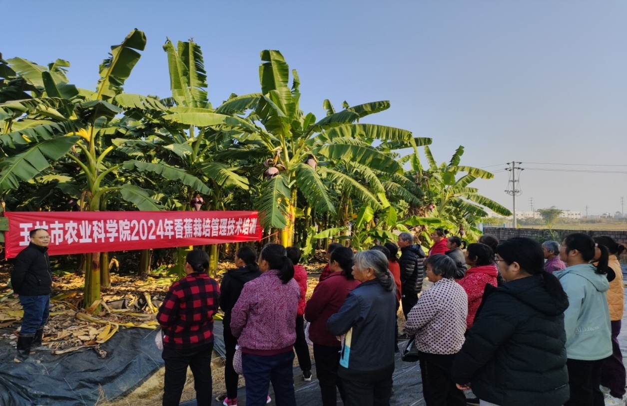 image001.jpg 大发体育