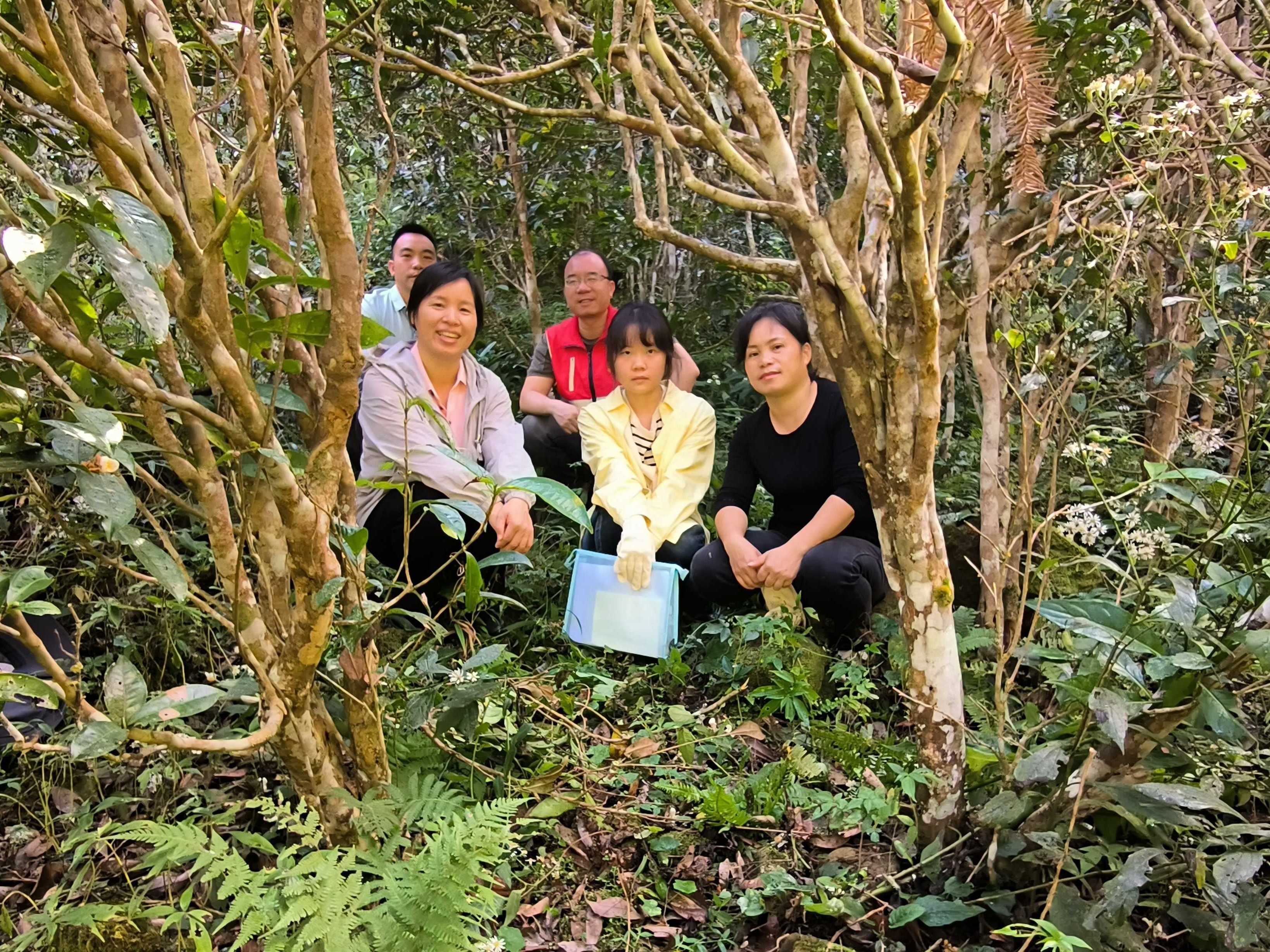 微信图片_20241224115152.jpg 大发体育