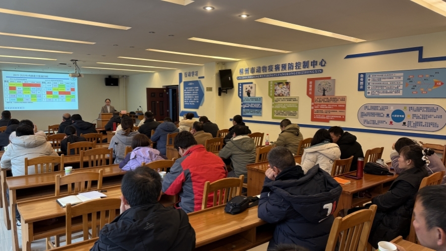 培训照片_副本.jpg 大发体育