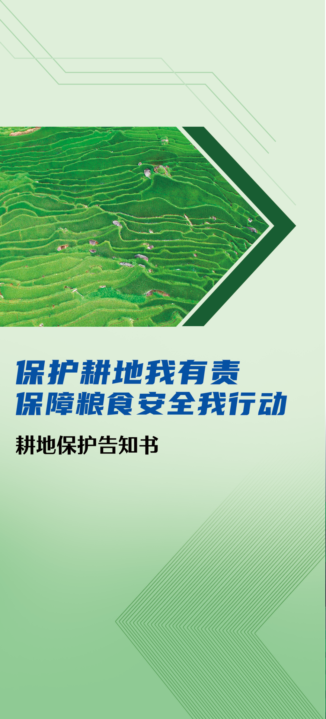 大发体育
