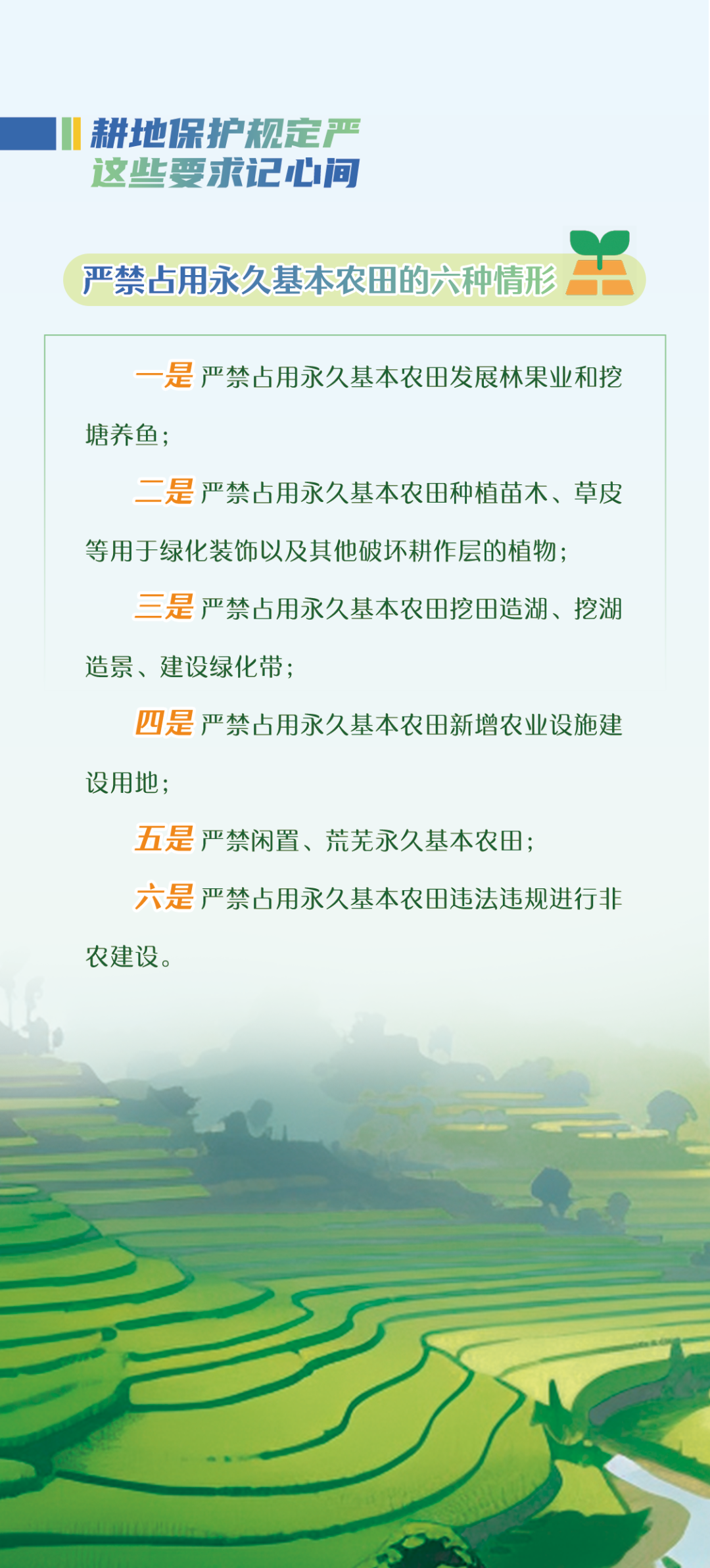 大发体育