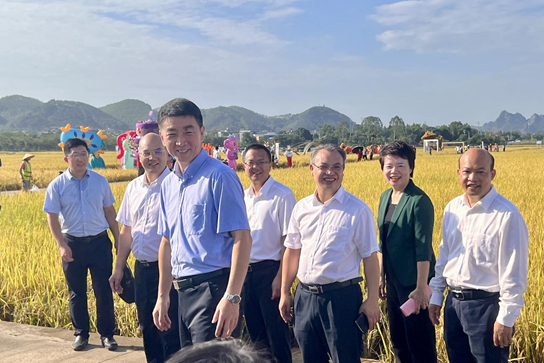 image.png 大发体育