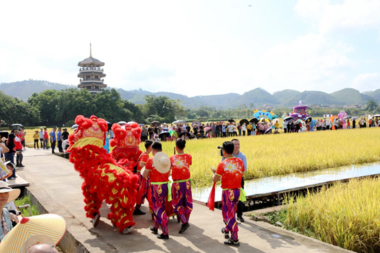 image.png 大发体育