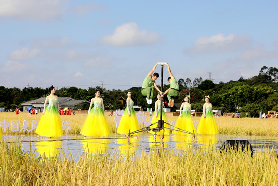 image.png 大发体育