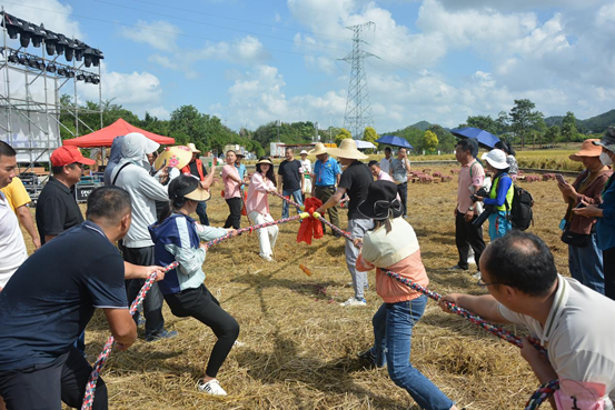 image.png 大发体育