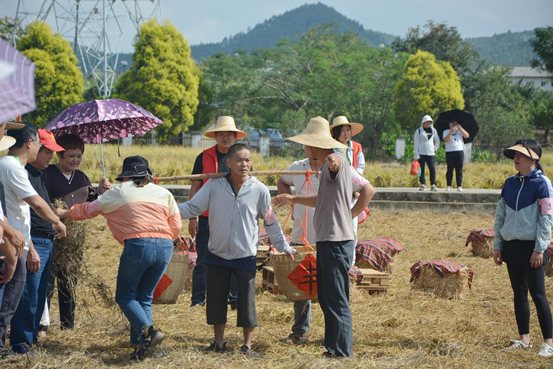 image.png 大发体育