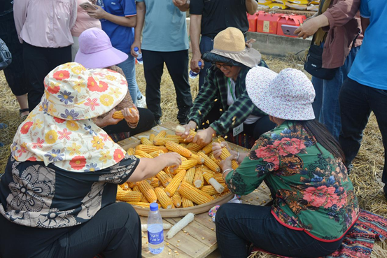 image.png 大发体育