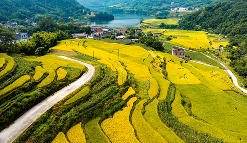 image.png 大发体育