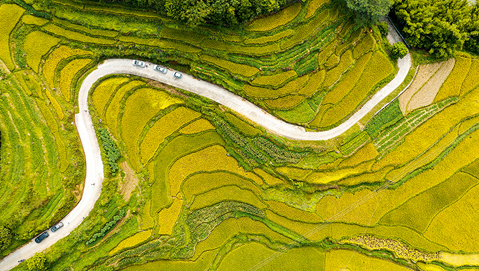 image.png 大发体育