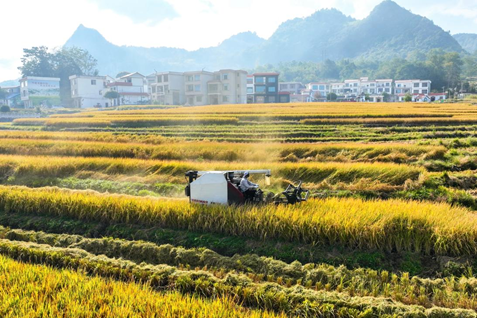 image.png 大发体育