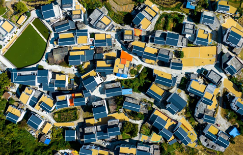 image.png 大发体育