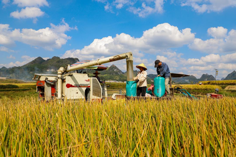 image.png 大发体育