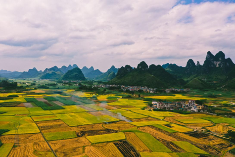 image.png 大发体育