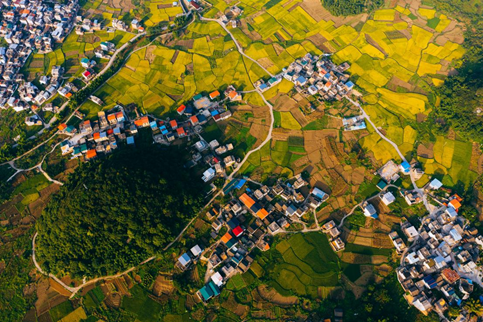 image.png 大发体育