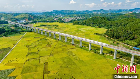 image.png 大发体育