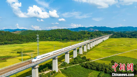 image.png 大发体育