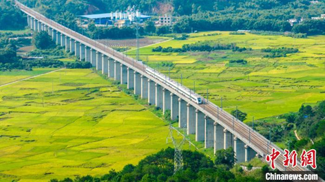 image.png 大发体育