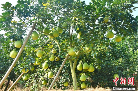 image.png 大发体育