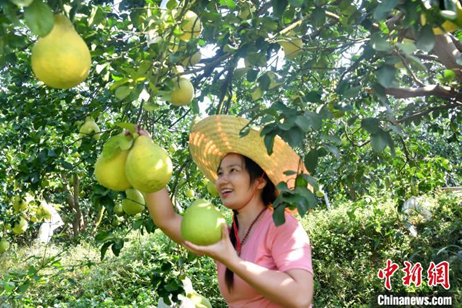 image.png 大发体育