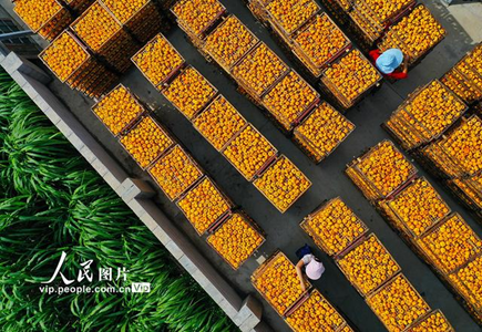 image.png 大发体育