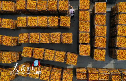 image.png 大发体育