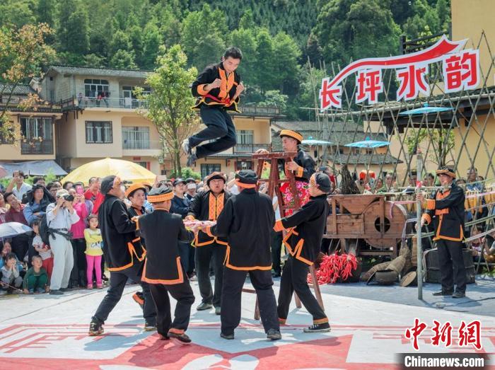 大发体育